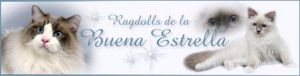Logo Buena Estrella